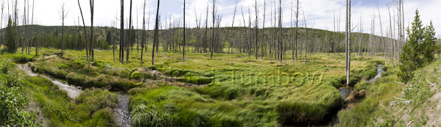 12 photo panorama - Valley near Beaver Lake, Yellowstone National Park