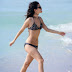 Rachel Bilson in hot bikini Miami Beach, Cleavage pics of Rachel Bilson, Hot pose Picture Gallery