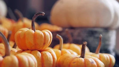 Autumn, Pumpkin, Vegetable