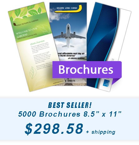 Brochure Printer5