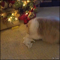 Christmas Cat GIF • Diving right into my presents. Woot woot I got the new I banana phone! [ok-cats.com]