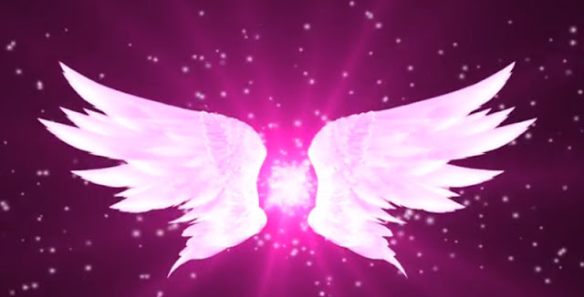 angel wings pink background