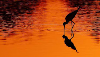 Most Amazing Pics [photo-control.blogspot.com]