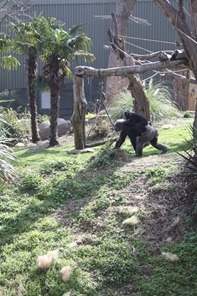 February 2012 540