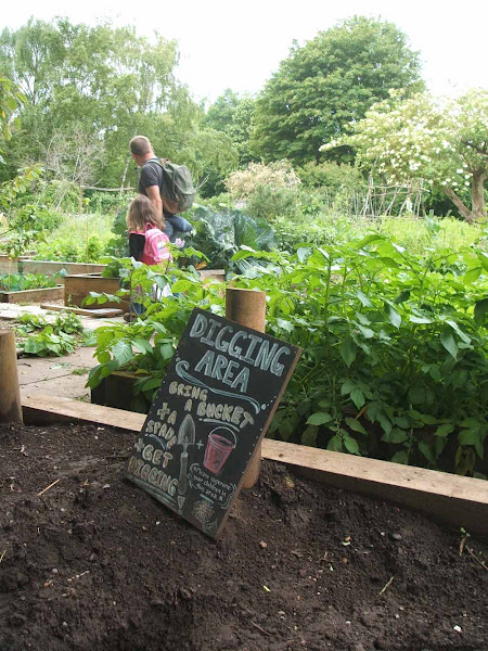 father and daughter enjoy wandering through windmill hill city farm allotments near the digging area, childhood unplugged