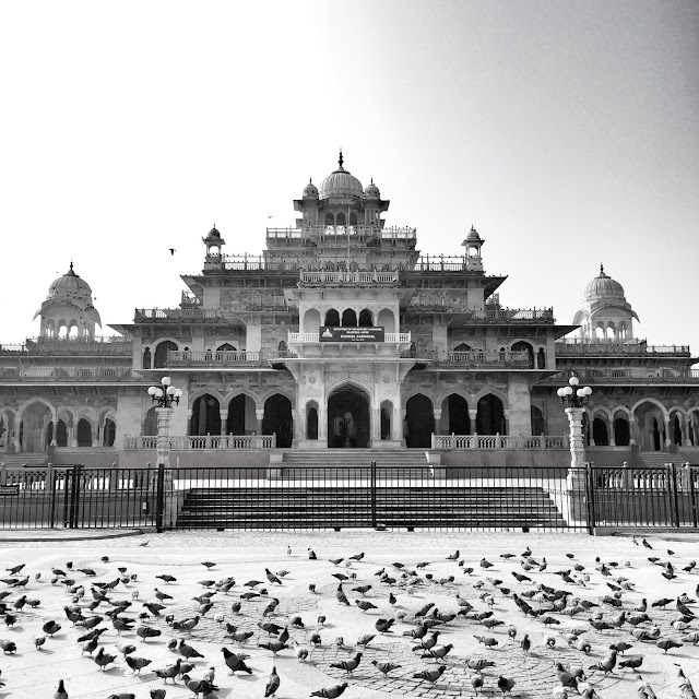 albert hall jaipur