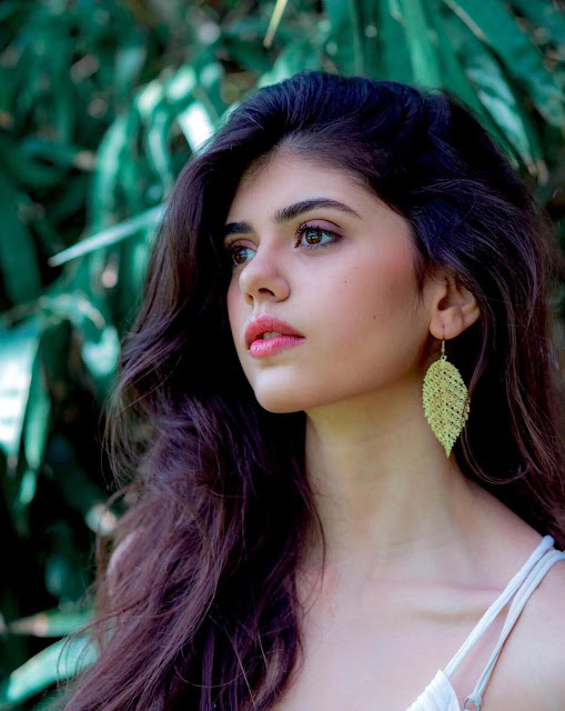 Actress Sanjana Sanghi HD Image Gallery