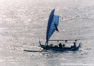 Sailing Boat