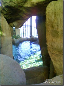 foto0053