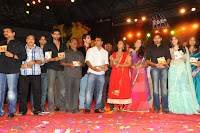 Panjaa Audio Release Function