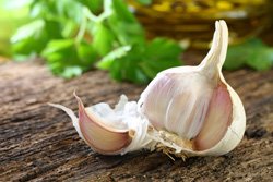Fight aphids with garlic - 3 possibilities presented