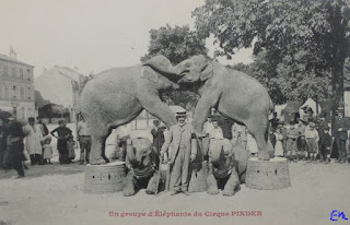 cirque elephants pinder