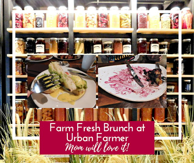 Farm Fresh Brunch at Urban Farmer Cleveland