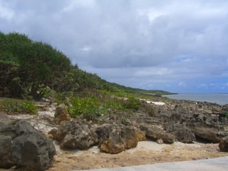 CIMG6287