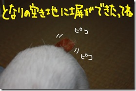 今日カズ１００５１９　２