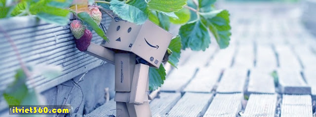 Ảnh bìa cho Facebook Danbo đáng yêu - Cover FB timeline