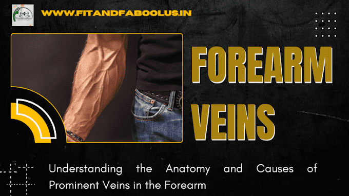 Forearm Veins: Causes of Visible Veins in Forearm