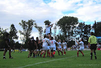 salta rosario rugby