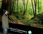 Nature Conservancy Wallpaper (custom wallpaper mural nature conservancy)
