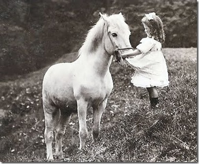 1910whitehorse