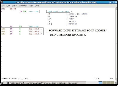 DNS – Domain Name System configuration Server Setup in RHEL5 Forward.zone 