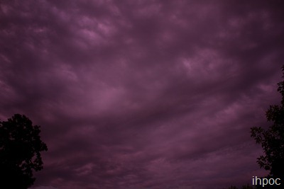 IMG_1474 copy