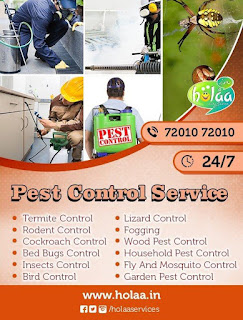 Pest Control Services in Ahmedabad