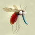 Fakta Tentang Nyamuk yang Belum Diketahui Banyak Orang