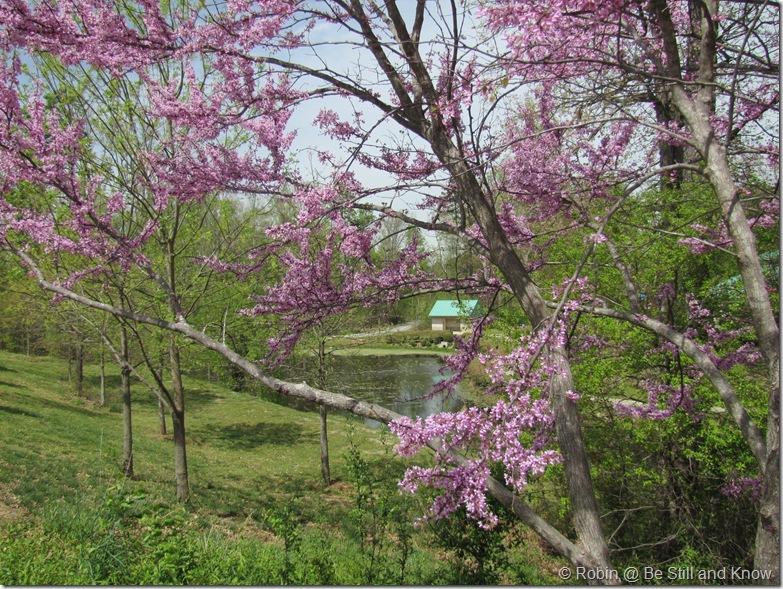IMG_1321