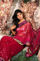 Charming Saree Collection For Parties