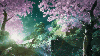 Cherry Blossoms Animated
