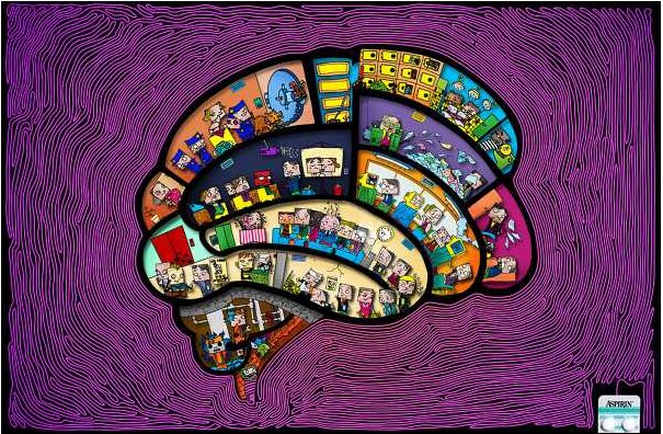 Human brain