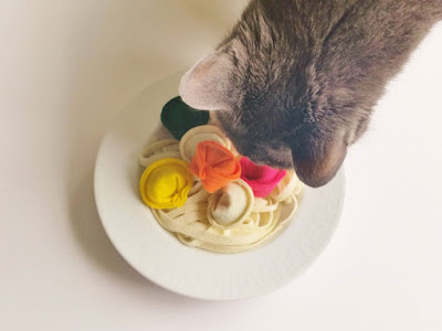 A cat pokes their head into a bowl of colourful tortellini cat toys