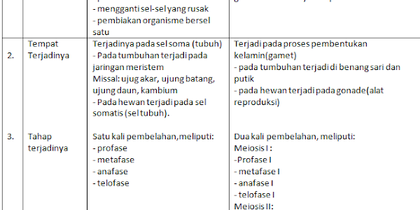 Contoh Soal Essay Biologi Kelas XII Semester 1 Beserta Jawaban  Part-4