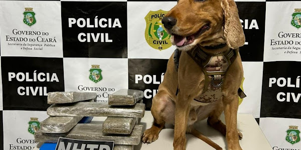 Prisão de Indivíduo com Quase 6 kg de Drogas em Operação da Polícia Civil em Brejo Santo