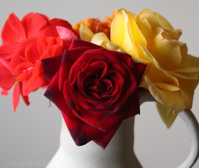 flowers, flower, photography, roses, rose, bloom, sarah, myers, yellow, red, geranium, bouquet, bunch, ceramic, amy, myers, pitcher, tea rose, bright, brilliant, colourful, interior, decor, decoration, photograph, beauty, brilliance, dim, day, detail, close-up, macro, petals