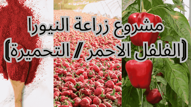 https://www.elfilaha.com/2023/04/blog-post_22.html