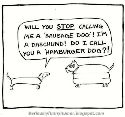 Will you STOP calling me a 'sausage dog' ! I'm a Daschund! Do I call you a 'Hamburger Dog'?!