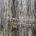 Top 40 Songs About Rain