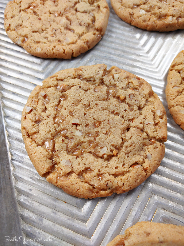 Butterscotch Crunch Cookies! An old-fashioned cookie recipe with brown sugar and toffee bits for double the butterscotch flavor and toasted pecans for crunch. Freeze and cut for picture-perfect cookies any time you have a craving!