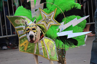 dog costumes