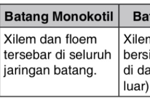 11+ Tuliskan Perbedaan Struktur Anatomi Batang Monokotil Dan Dikotil