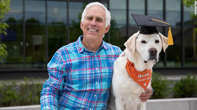 Dog Bags Doctorate Degree In Veterinary Medicine