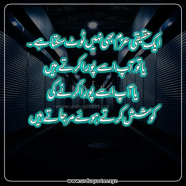 best aqwal e zareen in urdu 10 aqwal e zareen in urdu