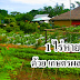 1 ไร่หายจน ด้วย เกษตรผสมผสาน