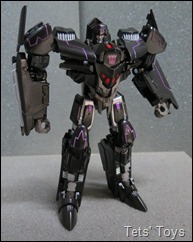 Paxtronus (46)