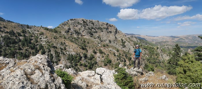 Area recreativa los Sauces - Peñón de Ronda