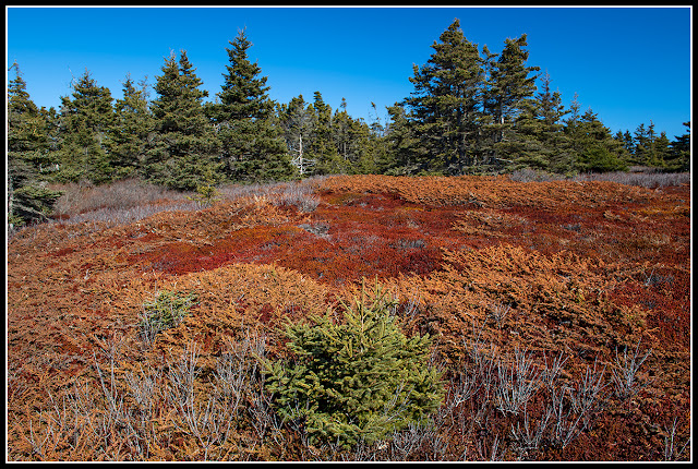 Gaff Point; Nova Scotia