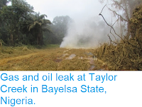 https://sciencythoughts.blogspot.com/2013/07/gas-and-oil-leak-at-taylor-creek-in.html