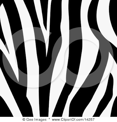 animal print background. black and white zebra print